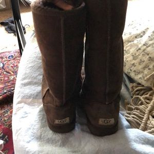 Tall Chocolate Uggs